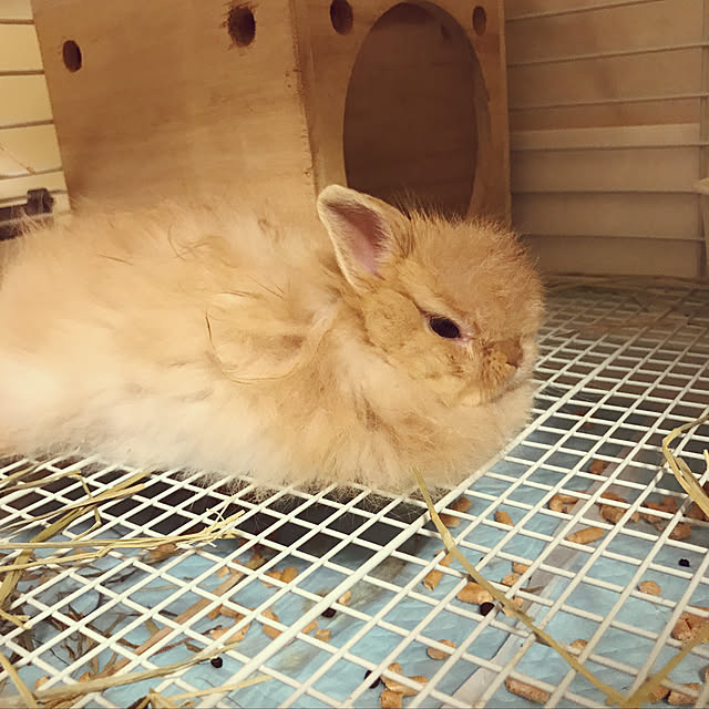 mさんの実例写真
