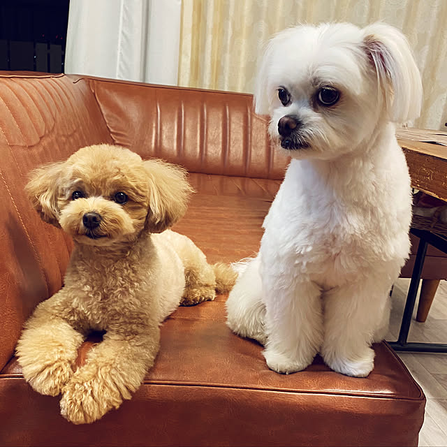 akoさんの実例写真