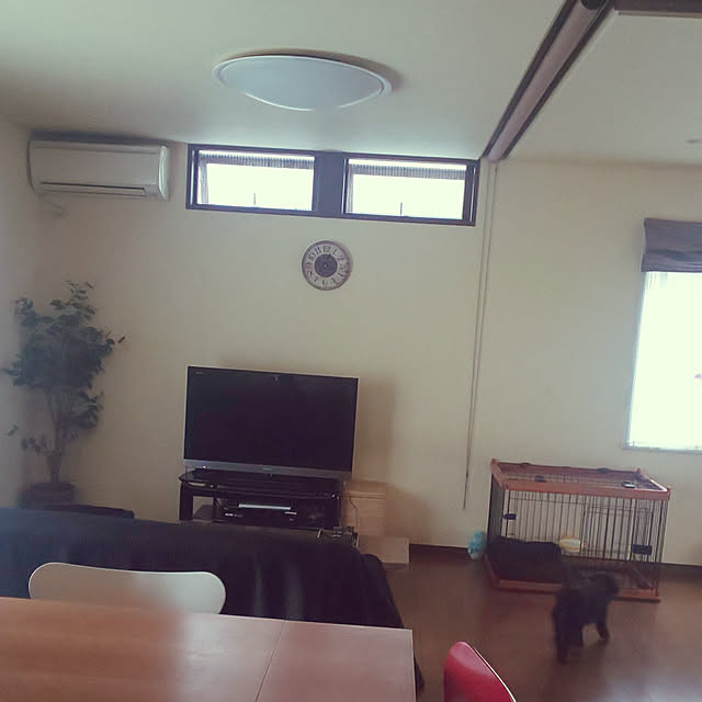 manatomatoさんの実例写真