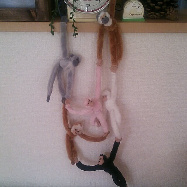 ayuminさんの実例写真