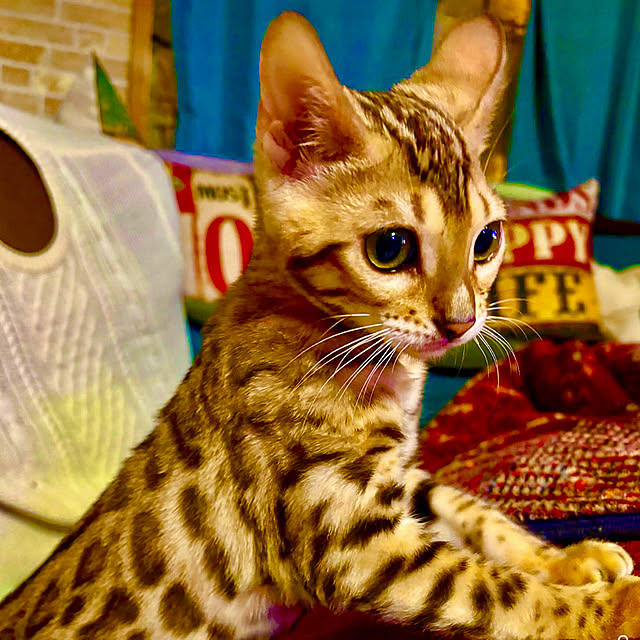 tututu0204さんの部屋