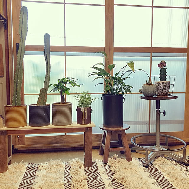 haruさんの実例写真