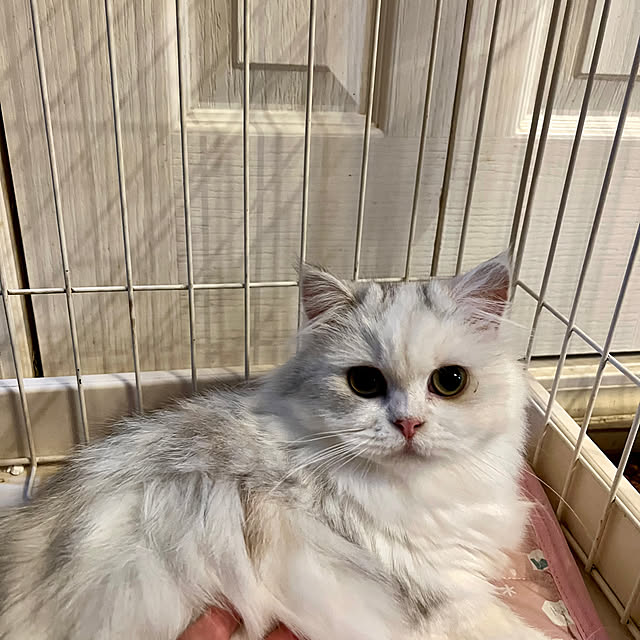 AYUKOさんの部屋