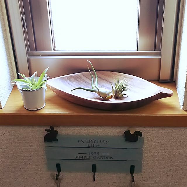 mekkokunkunさんの実例写真