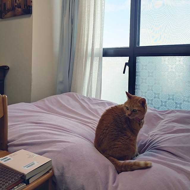 NOAHさんの実例写真