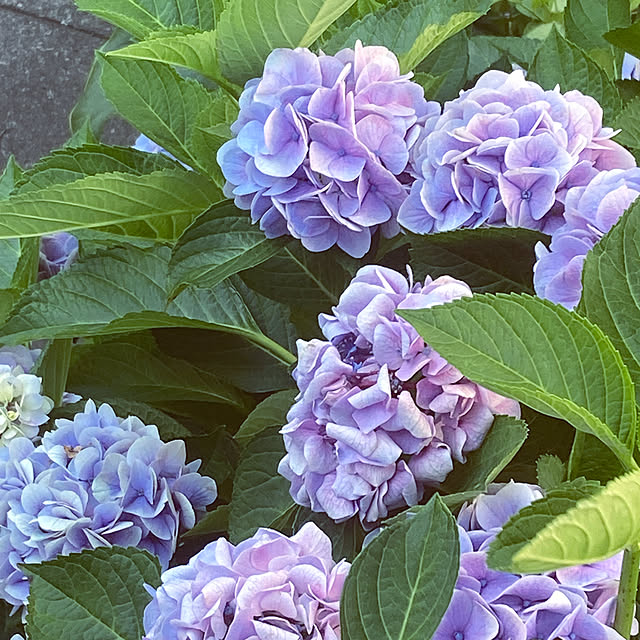 keikoさんの部屋