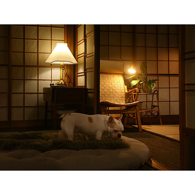 chobinonさんの実例写真