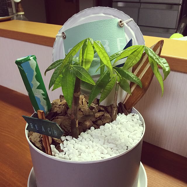 afroさんの実例写真