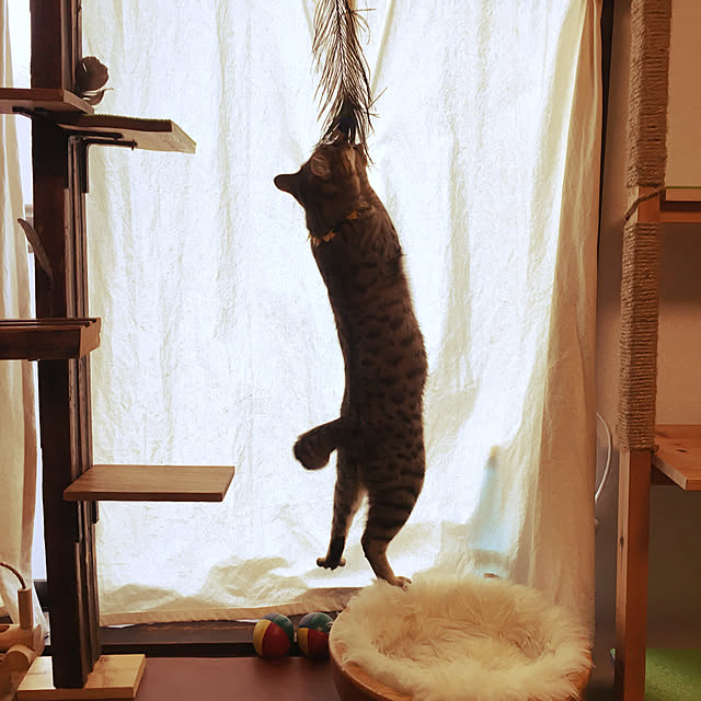 Mさんの実例写真