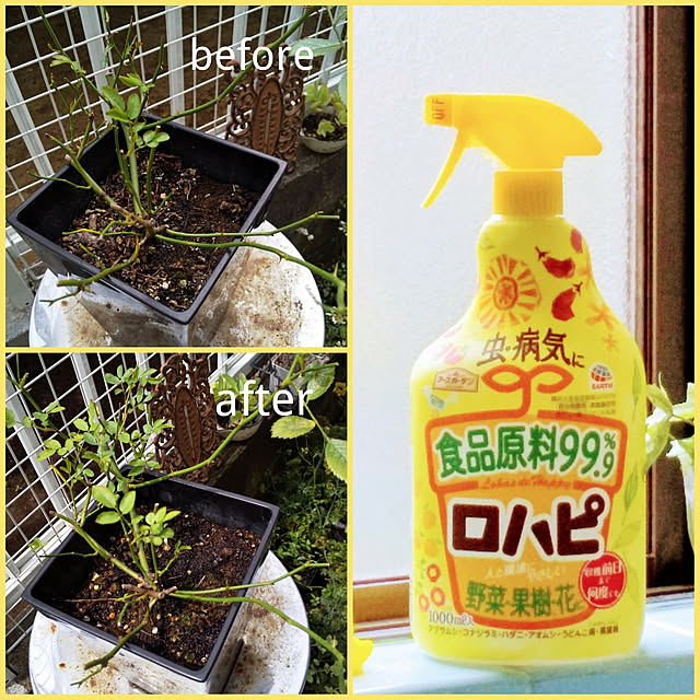 kintoto07さんの実例写真