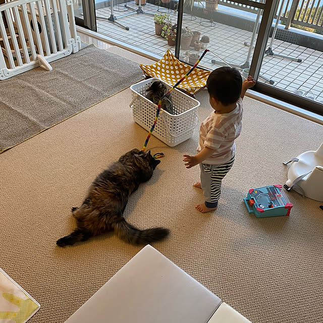 mikomaruさんの実例写真