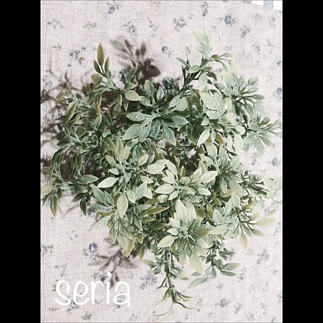 chirol29さんの実例写真