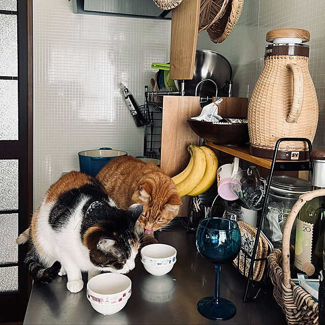Maruさんの実例写真