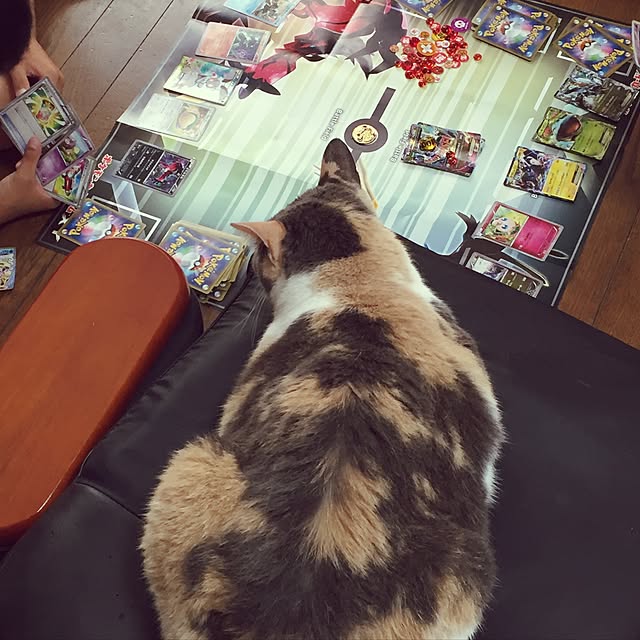 yumasukeさんの実例写真