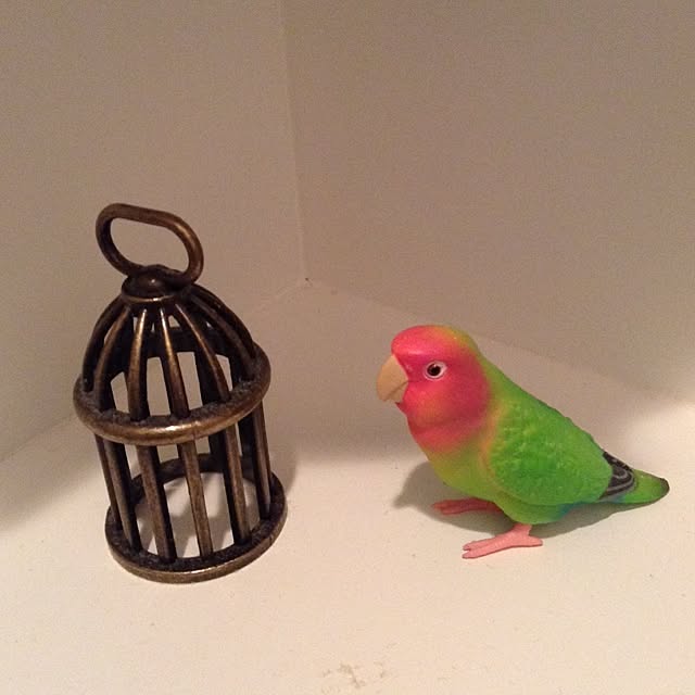 dodoさんの実例写真