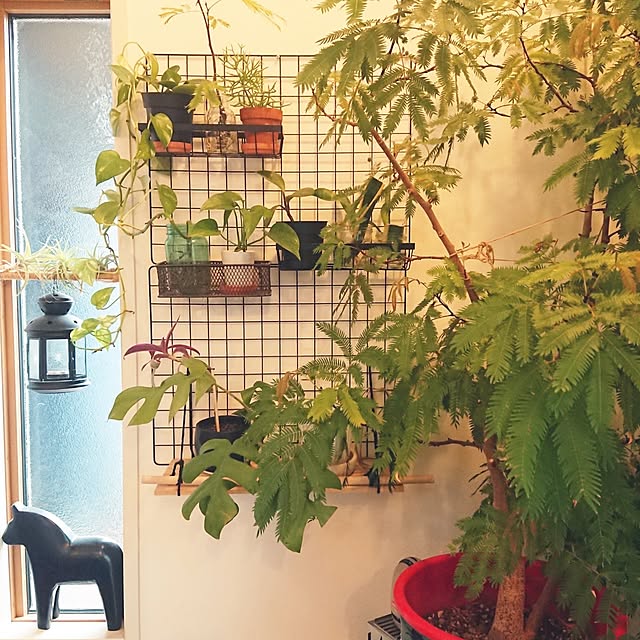 urchinさんの部屋