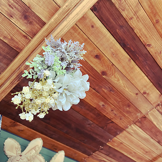 puku.meruさんの部屋