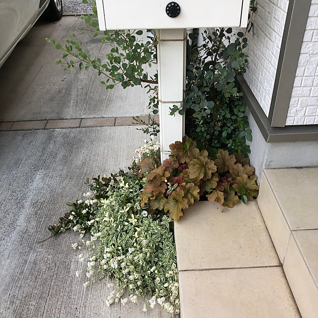 yuyuさんの実例写真