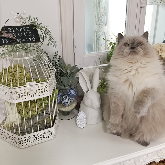 yuchiさんの実例写真