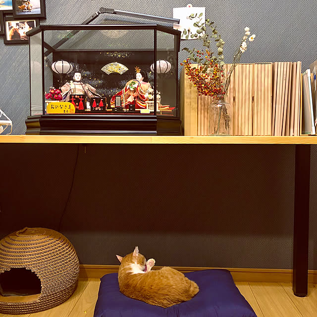magoさんの実例写真