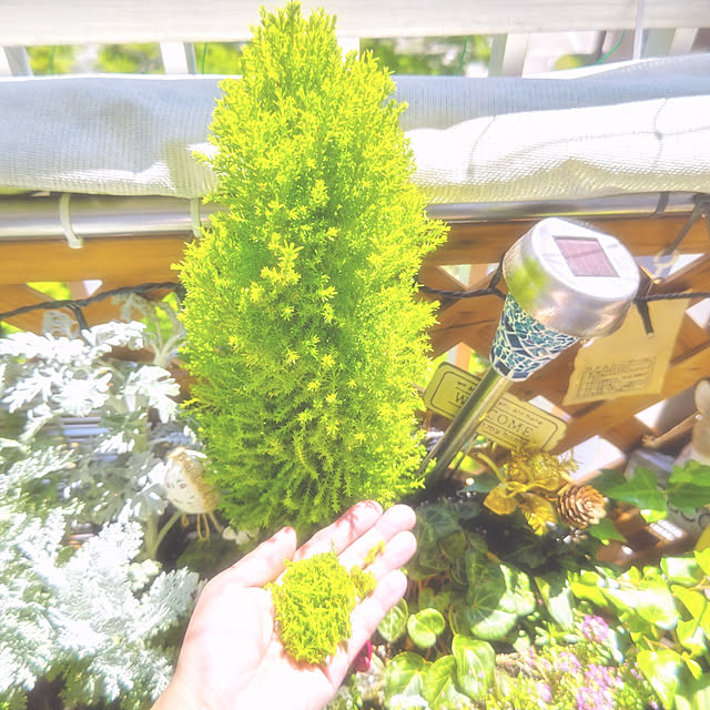 mariaさんの実例写真