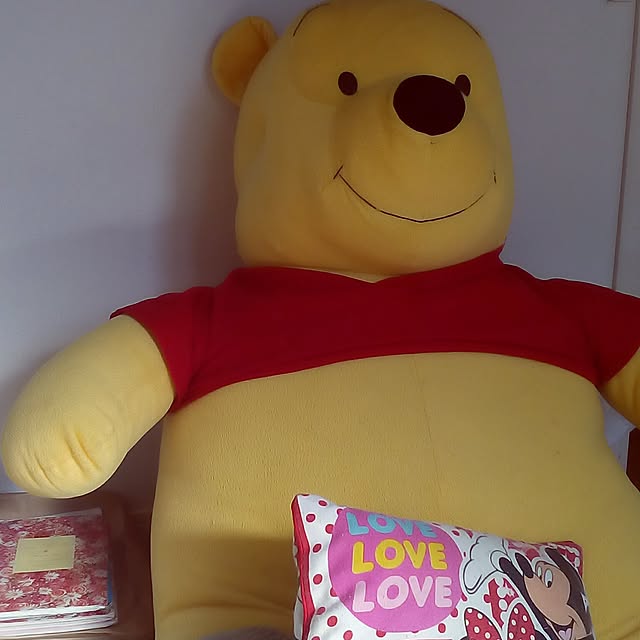 hirochanさんの実例写真