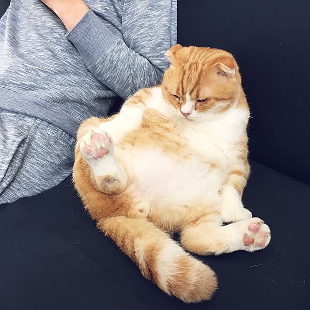 pepperさんの実例写真