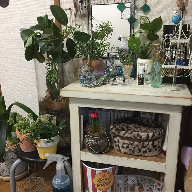 kumimaru.w.s.cさんの実例写真