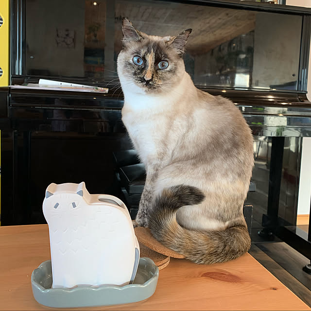 miyaさんの実例写真