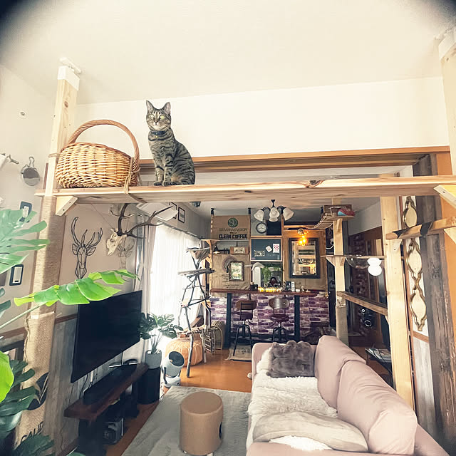 Mさんの部屋