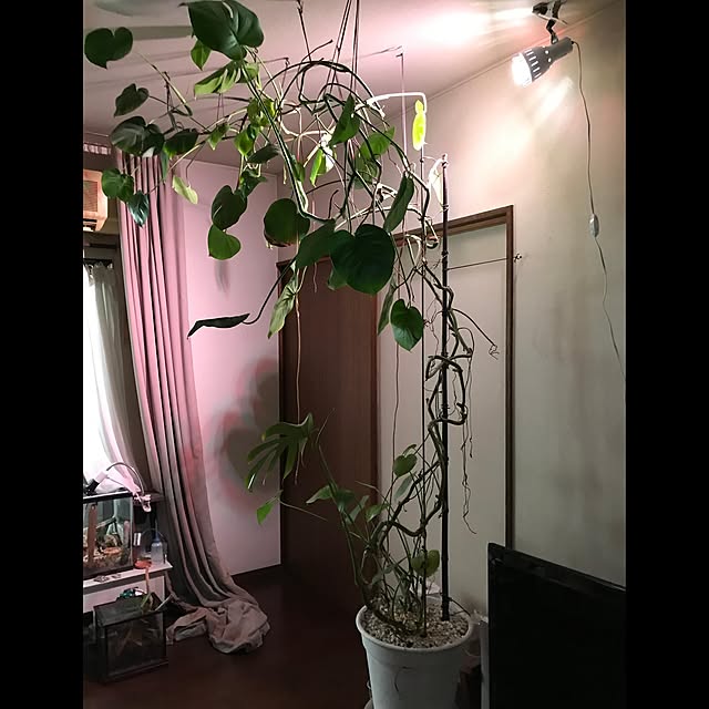 abandonedmineさんの実例写真