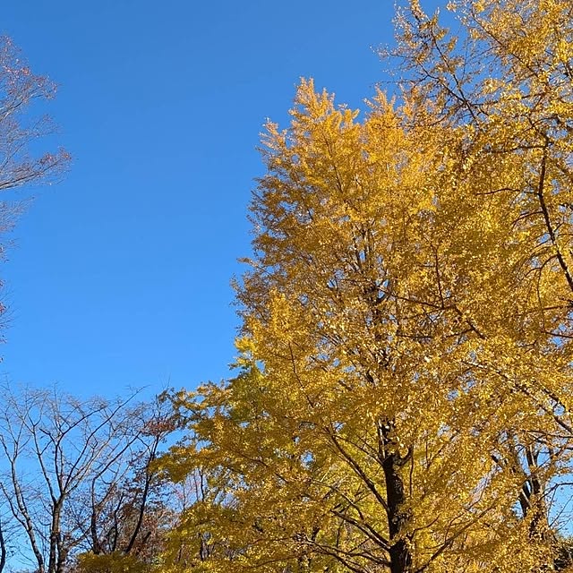 kerochanさんの部屋