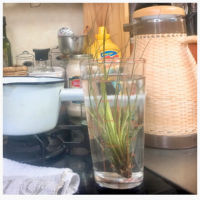 Tomoko.kさんの実例写真