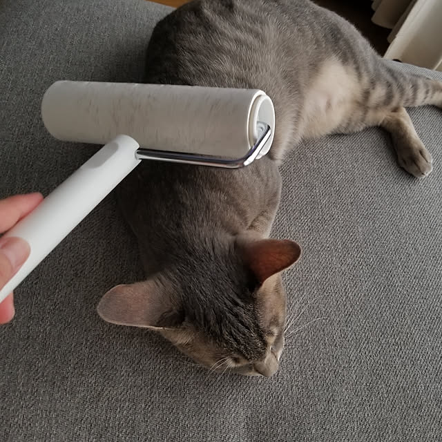 yukiさんの実例写真
