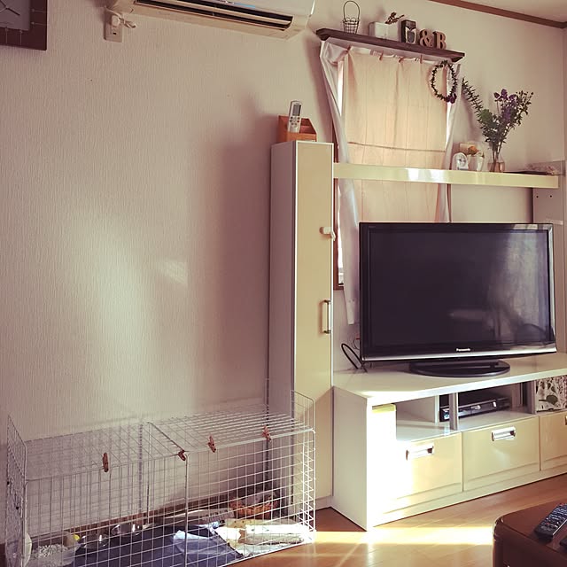 risuhaさんの実例写真