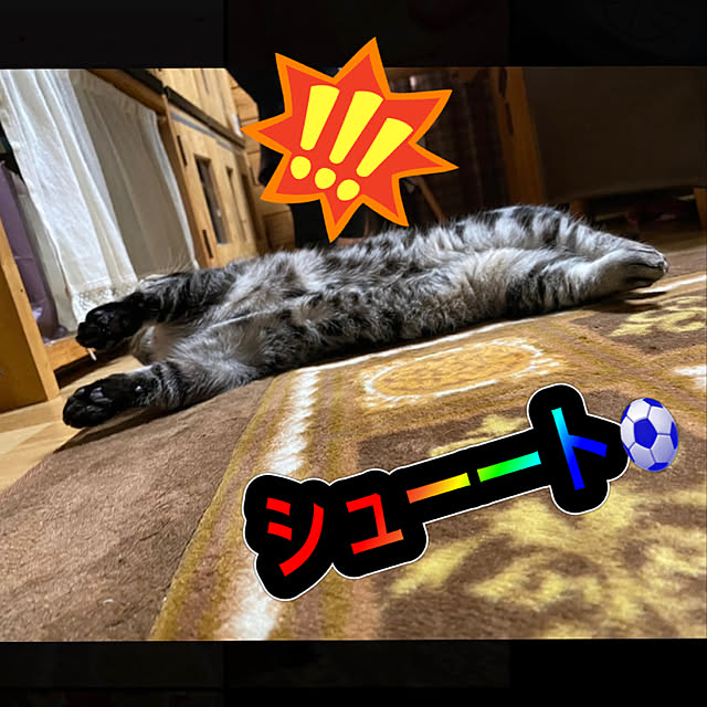 yumiさんの実例写真
