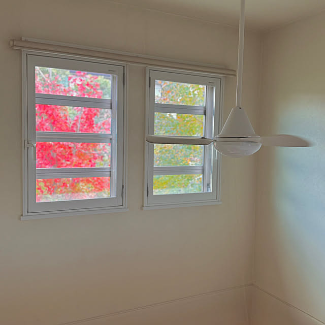 Lucyさんの実例写真