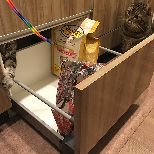 mikomaruさんの実例写真