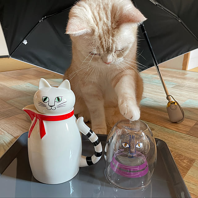 sirasu.nさんの実例写真
