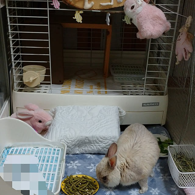 yokomokoさんの実例写真