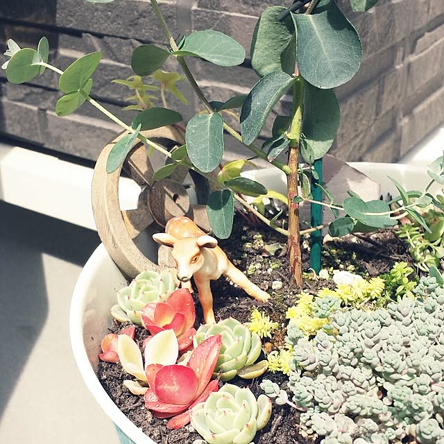 askさんの実例写真