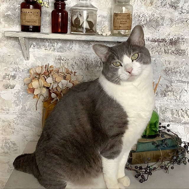 mannersさんの実例写真