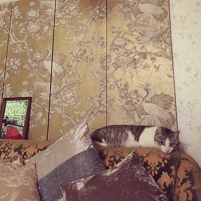 emmyyさんの実例写真