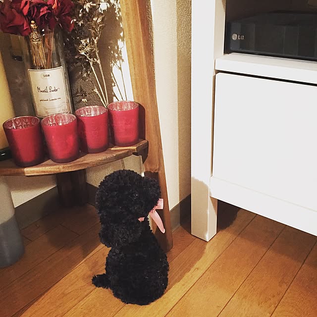 makigonさんの実例写真