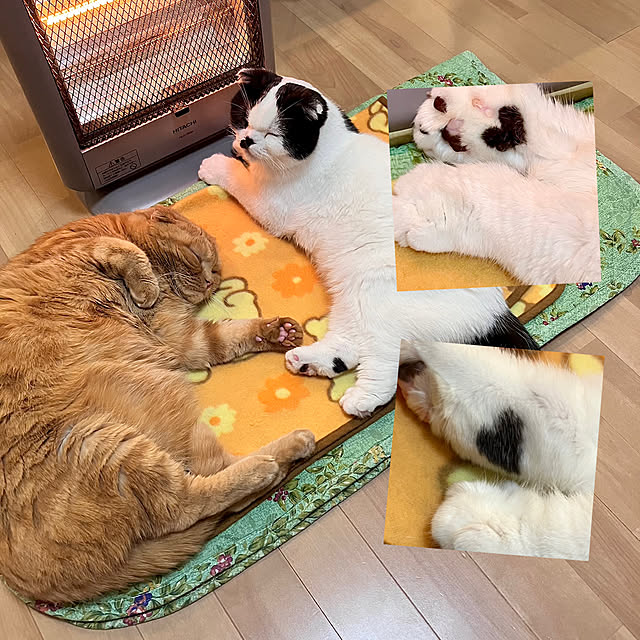 pinaminさんの実例写真