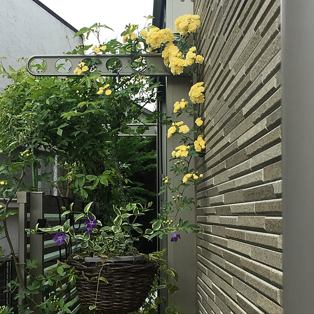 fu-mufumuさんの実例写真