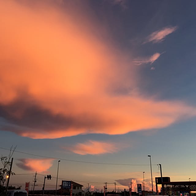 実例写真