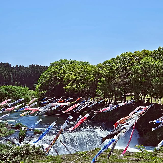 mocomocoさんの部屋