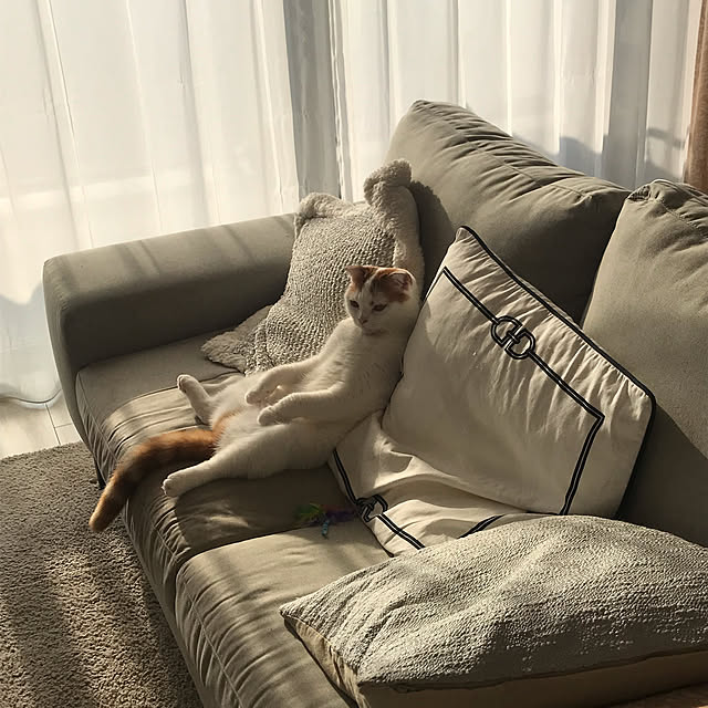 cota_toさんの実例写真