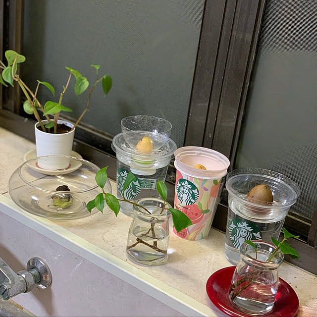 SHIZUKAさんの実例写真